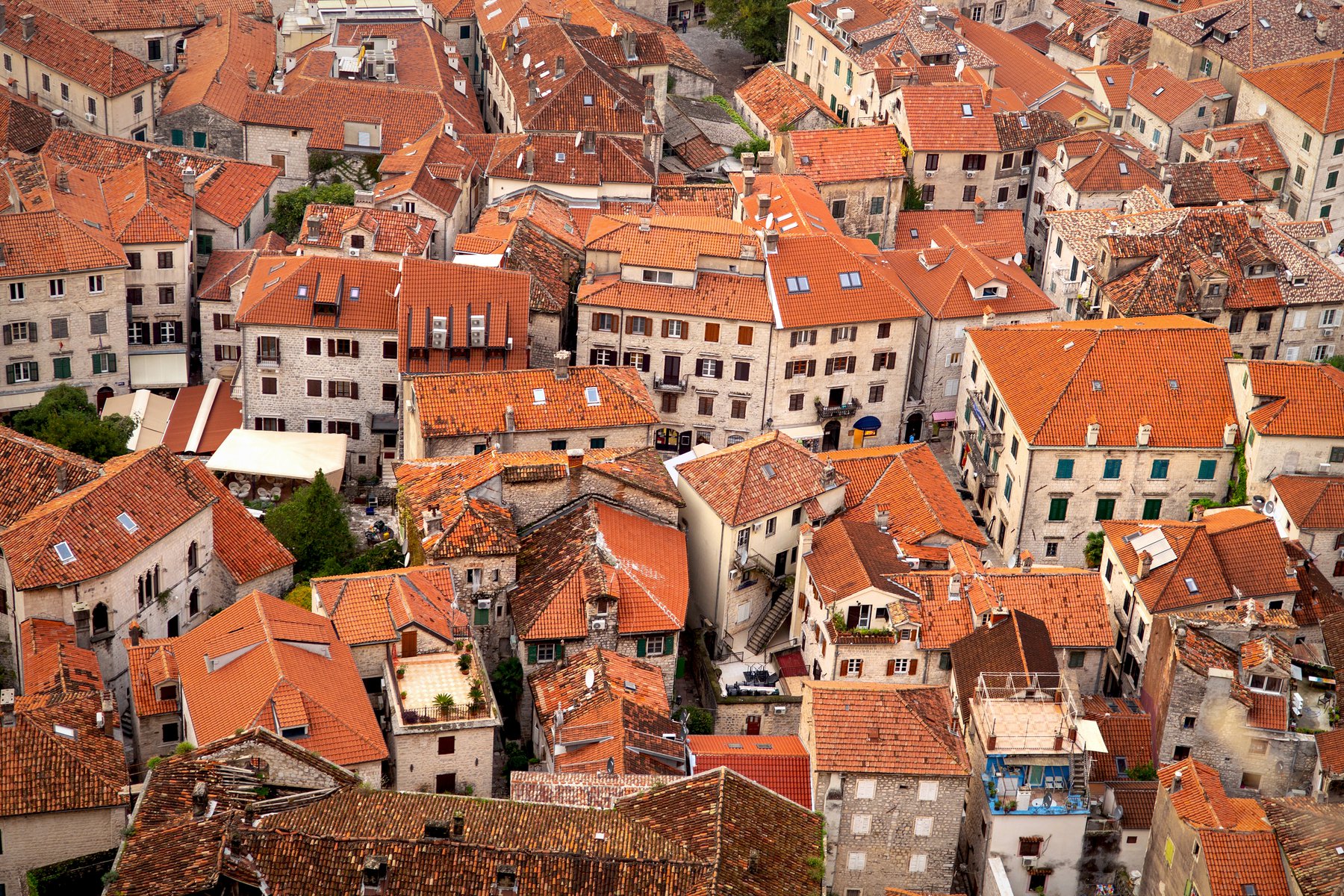 Vy över Kotors gamla stad