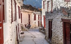 Resa Mustang Marpha Jomsom