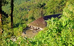 Resa Nagaland Longwa wooden long house