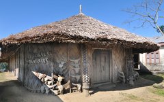 Resa Nagaland Shangnyu