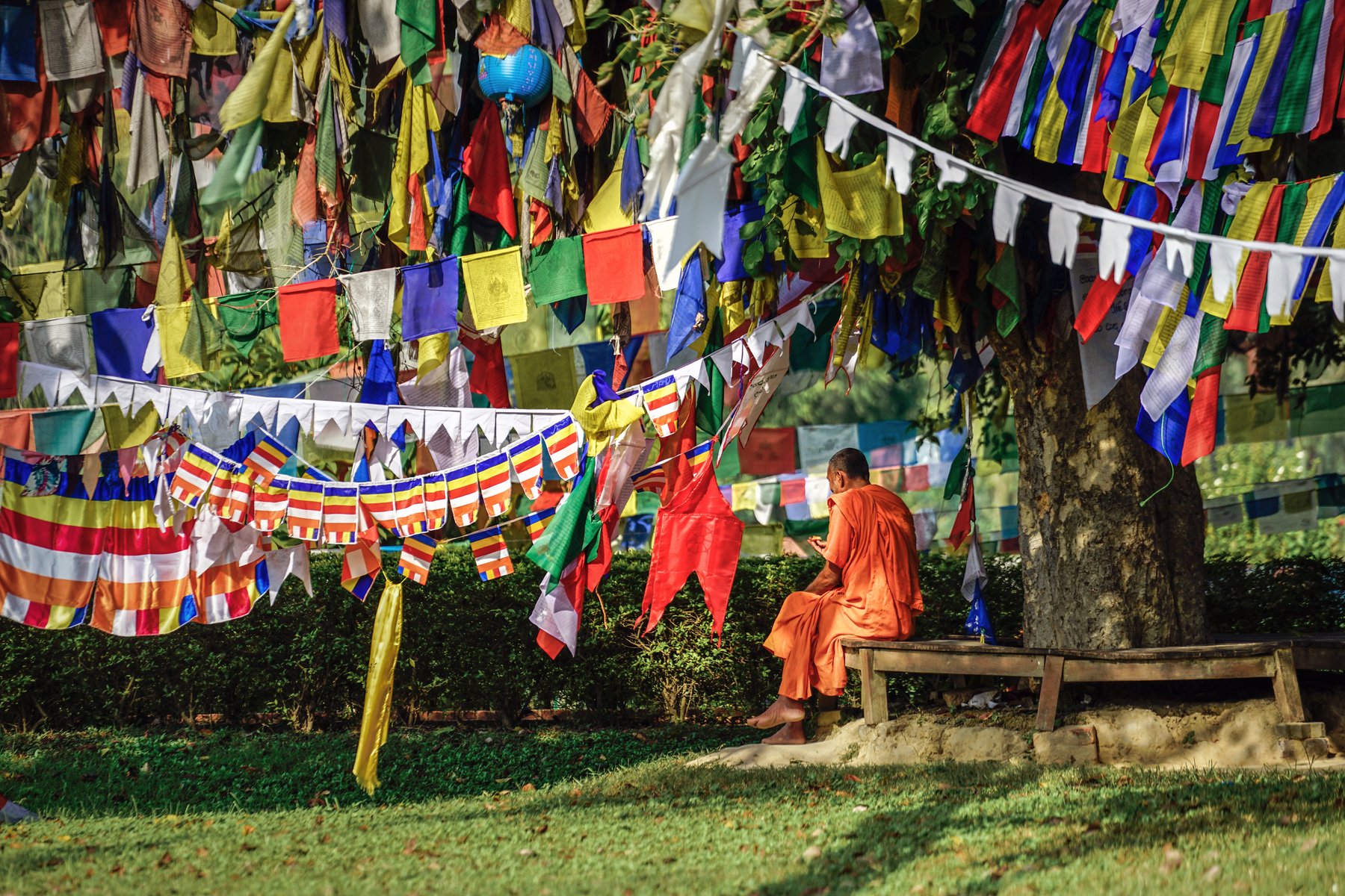 Munk som ber vid världsarvet Lumbini