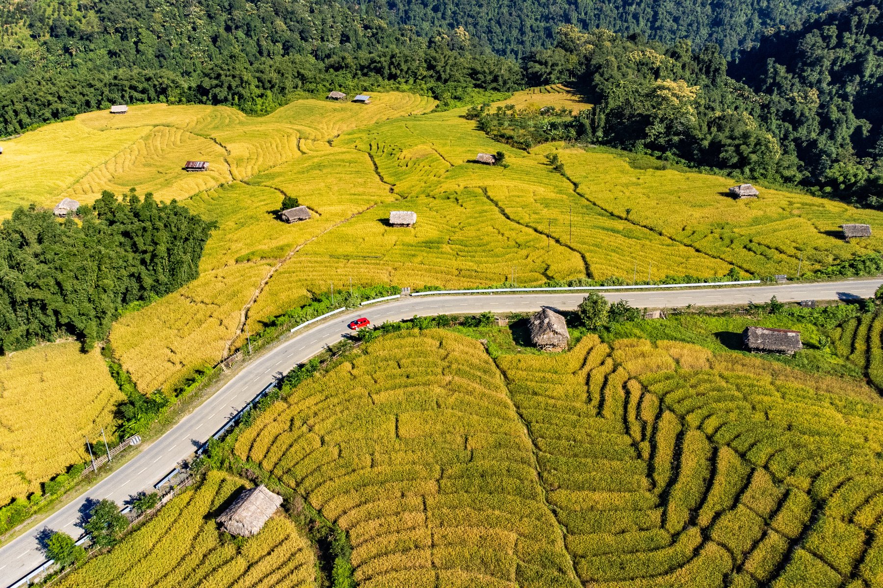 I Arunachal Pradesh färdas du genom ett vackert landskap med risodlingar