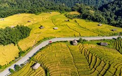 I Arunachal Pradesh färdas du genom ett vackert landskap med risodlingar