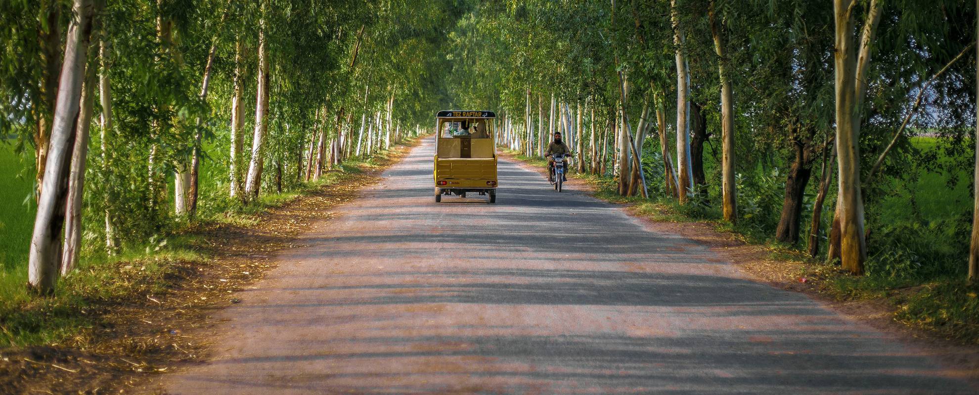 Vacker miljö i Punjab, nära Lahore