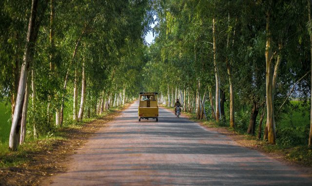 Vacker miljö i Punjab, nära Lahore