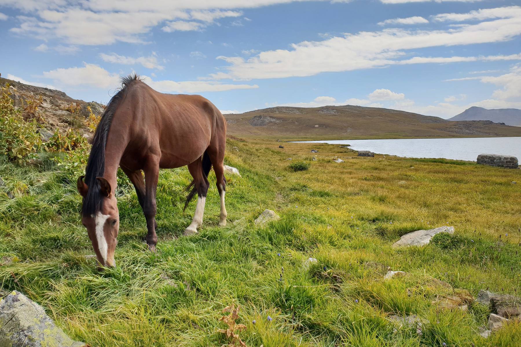 Sjön Deosai nära Astore