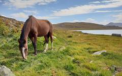 Sjön Deosai nära Astore
