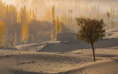 Höghöjdsöken utanför Skardu