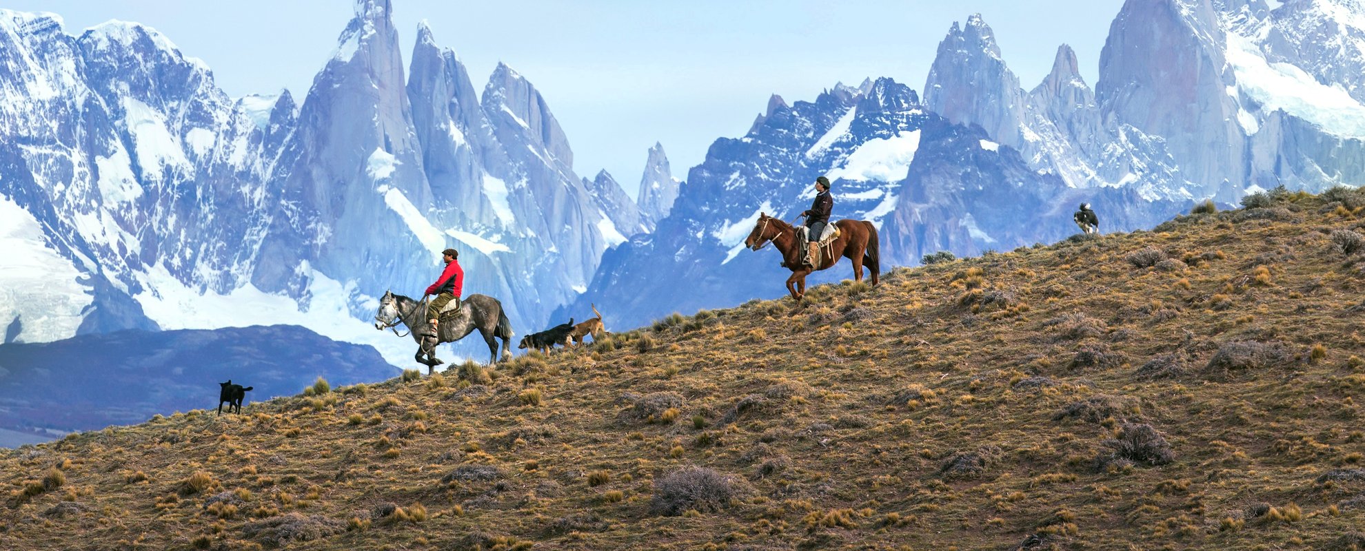 Resa_Patagoniesn_guacho_berg_liten_dGL4Tf0.original