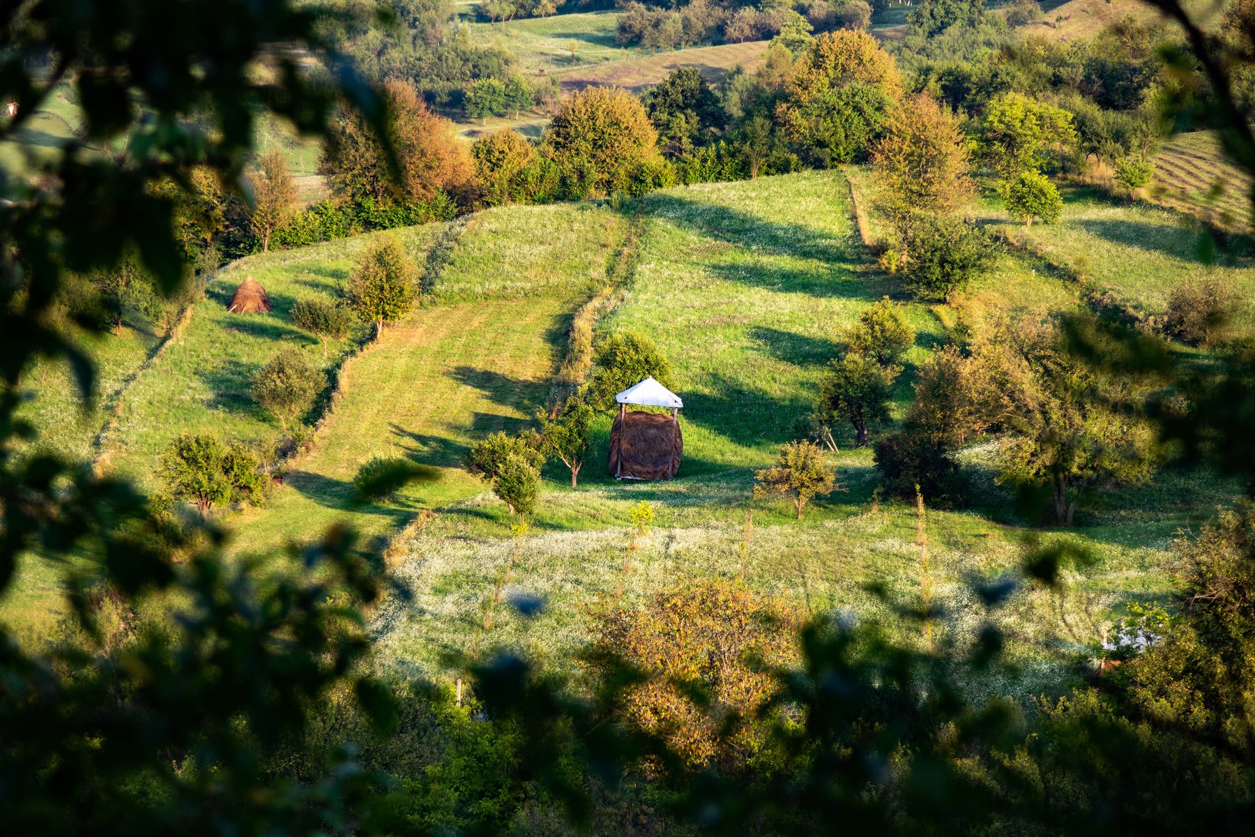 Resan går genom Maramures härliga landskap