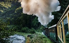 Du åker tåg en kortare sträcka i Bukovina