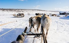 Du får prova på konsten att köra rensläde