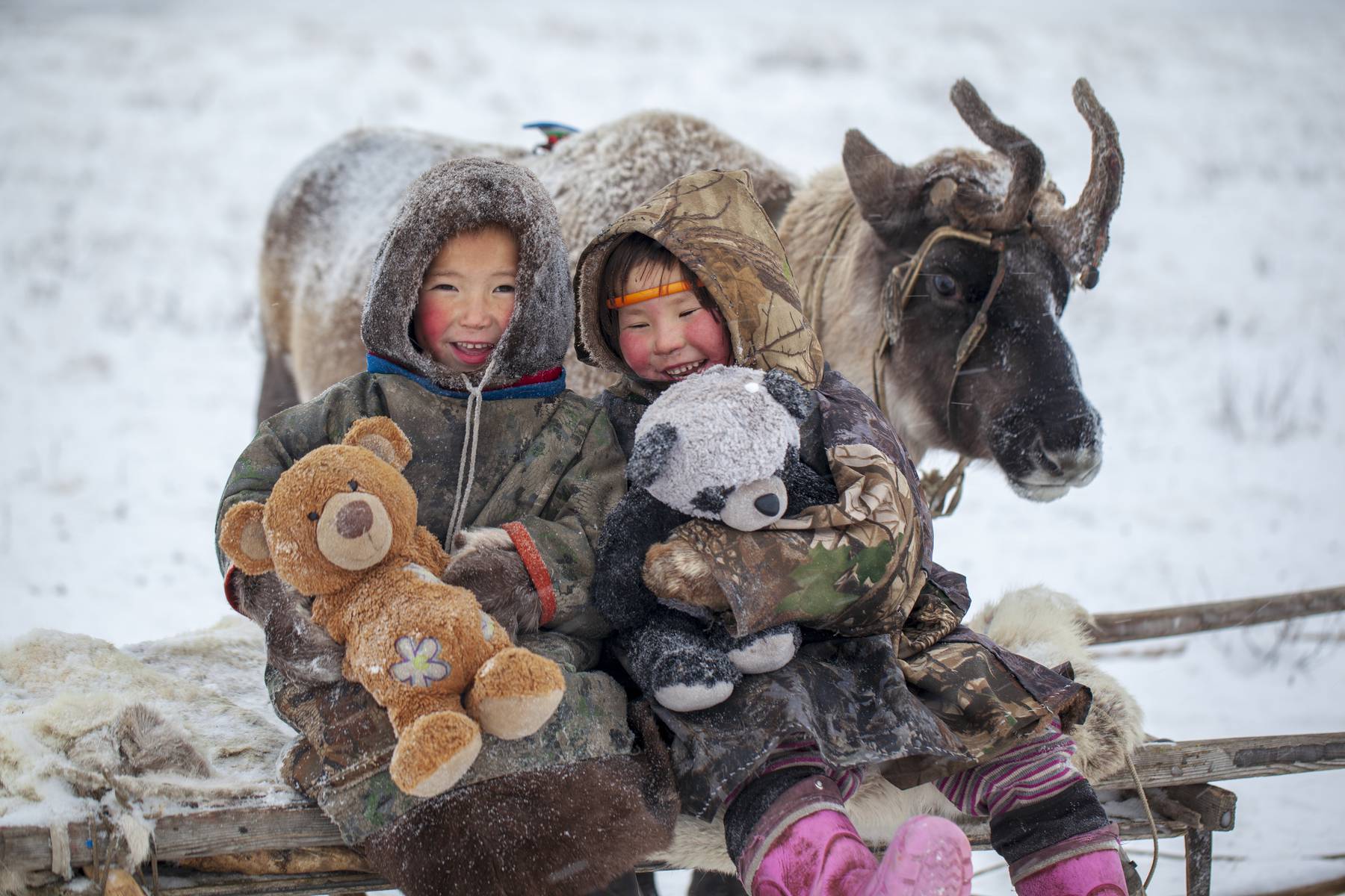 Största delen av året bor nomadbarnen på en internatskola, långt borta från sina hem på tundran