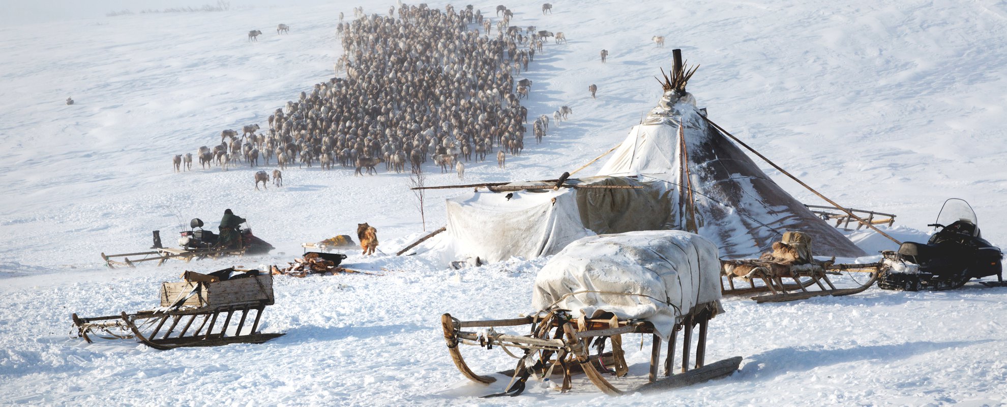 Nentsiskt läger i den arktiska tundran