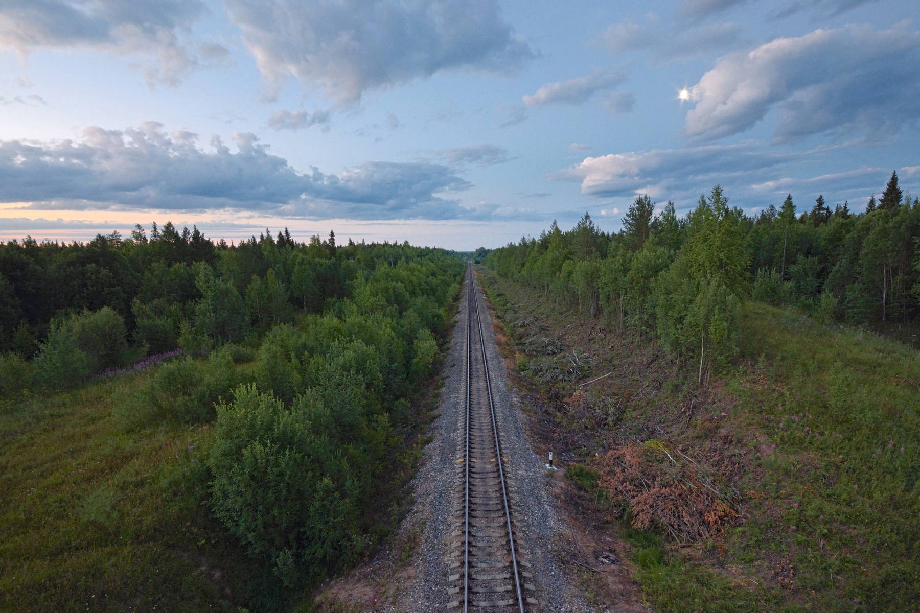 Du färdas med tåg genom vacker natur