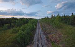 Du färdas med tåg genom vacker natur