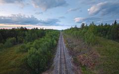 Tåg genom ryska Karelen
