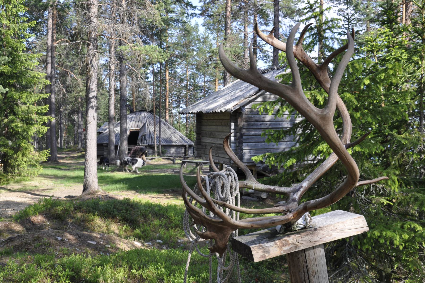 En natt bor du i traditionell kåta i ett sameläger vid en sjö