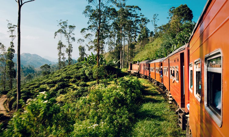 Resa Sri lanka tåg