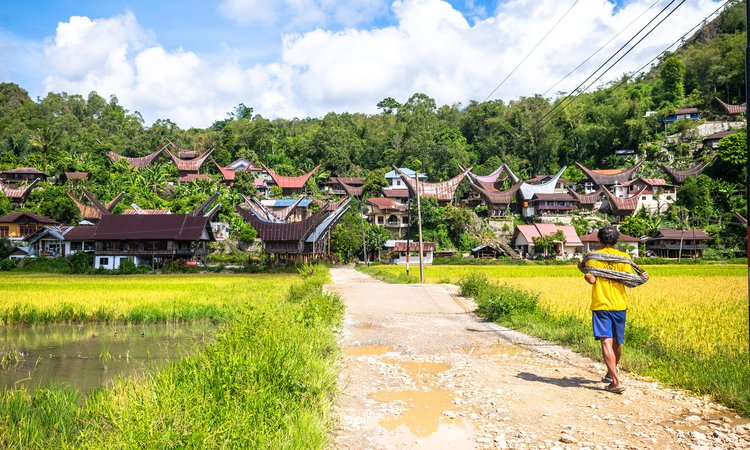 Resa Sulawesi Tana Toraja by