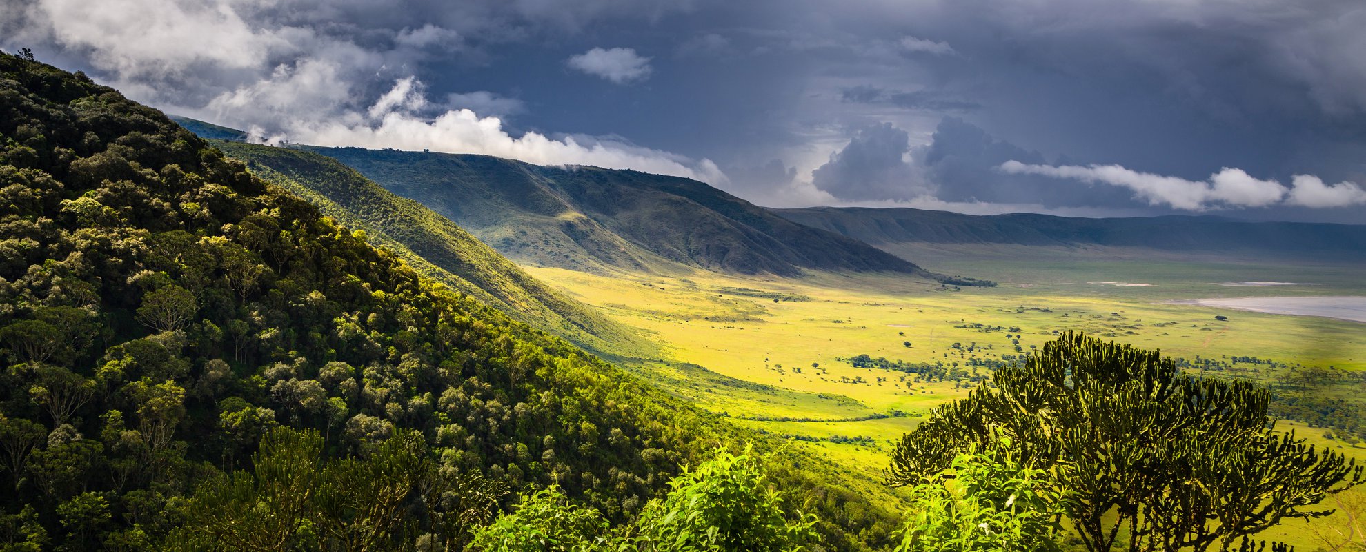 Den väldiga Ngorongorokratern har en diameter på 18 km