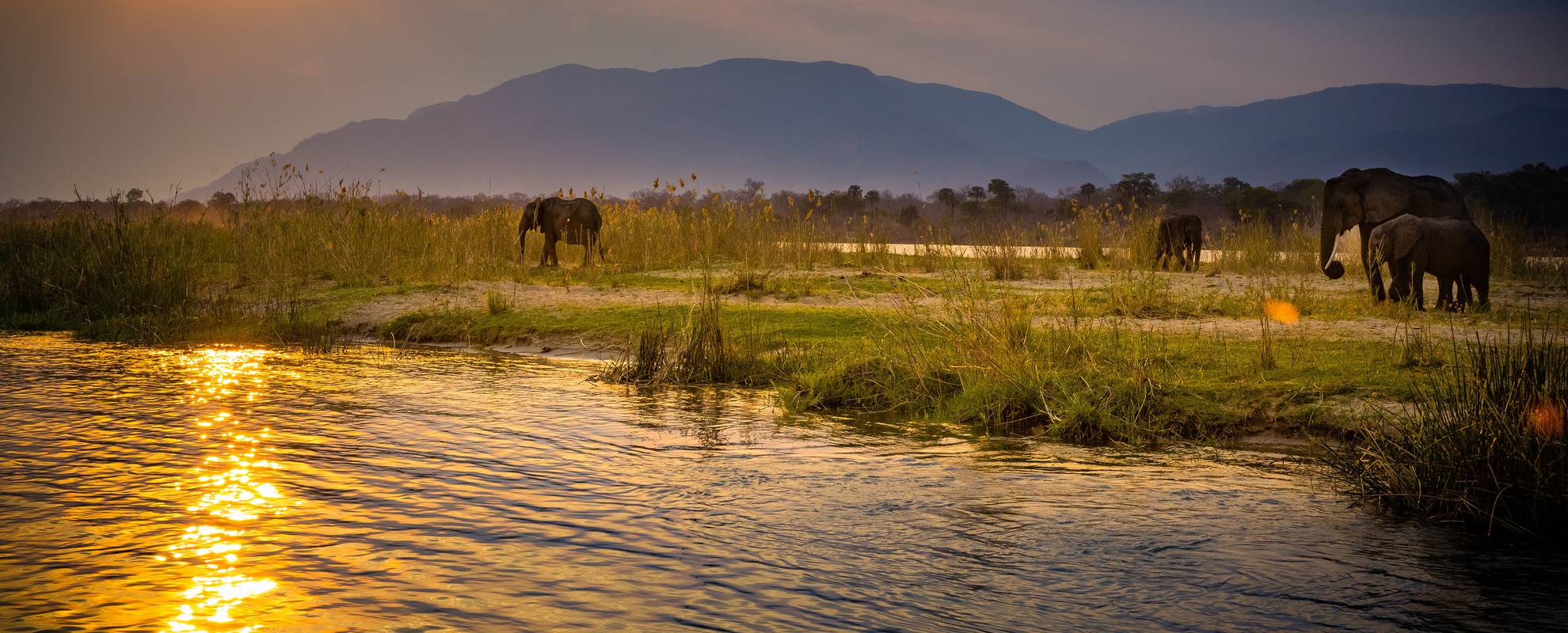 I Lower Zambezi nationalpark kan du resa med kanot på floden