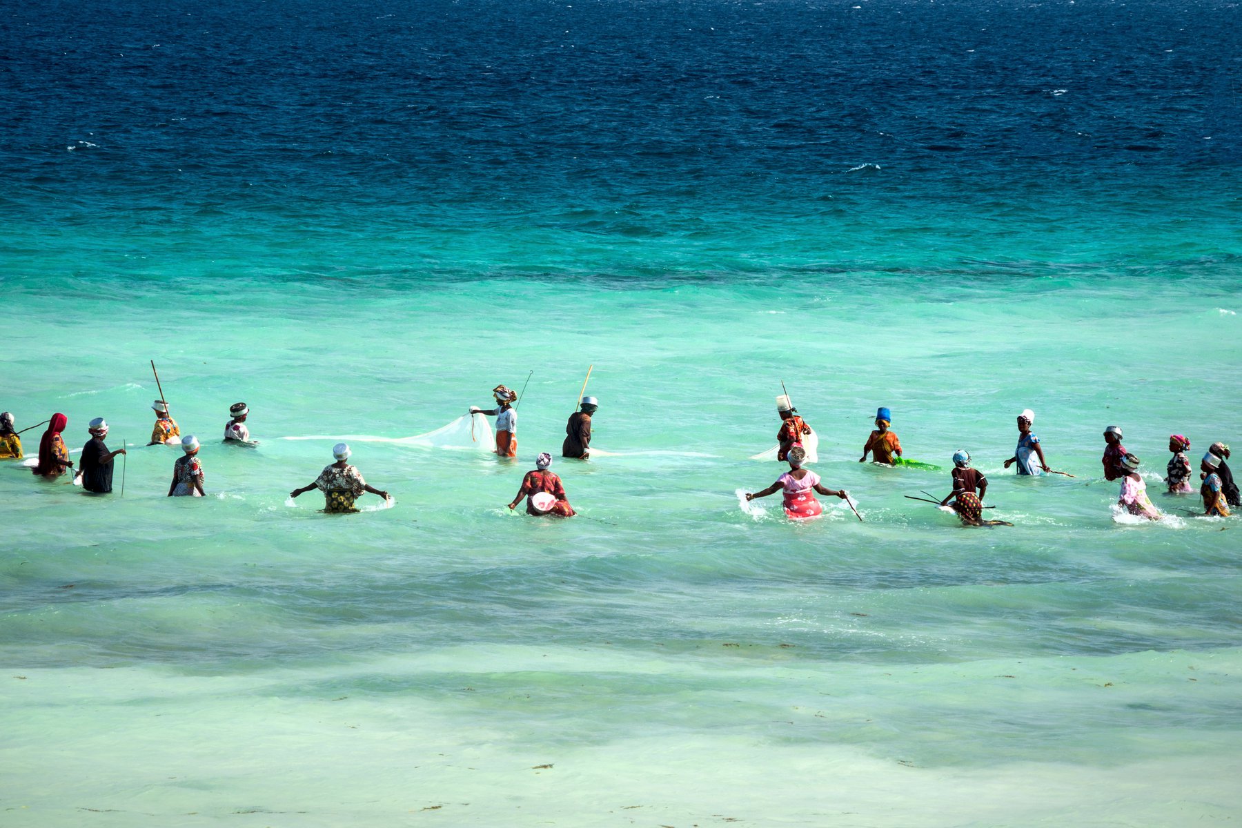 Kvinnor som fiskar med nät på Zanzibar