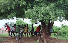 Lugnet under ett svalkande träd i en by i Zambia