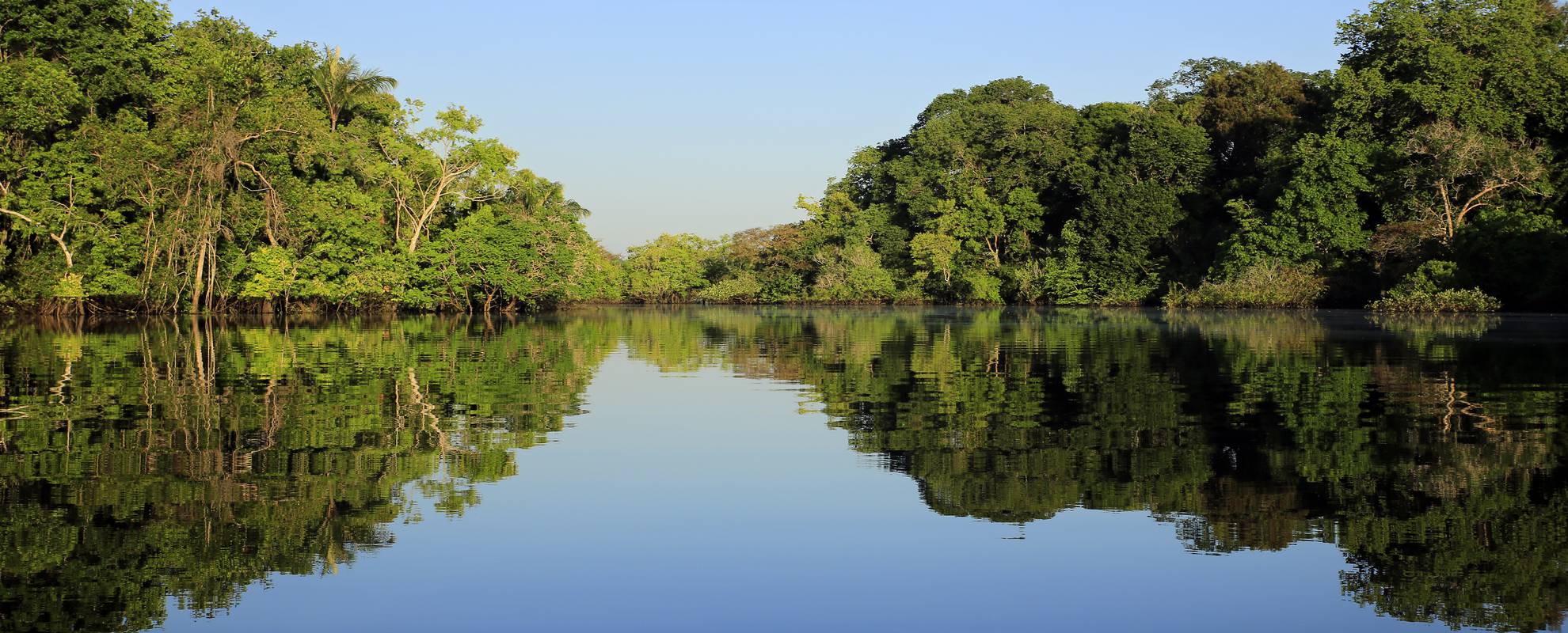 Fantastiska Rio Negro