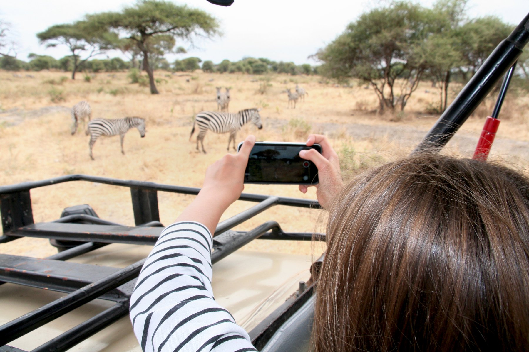 Safari i Tanzania