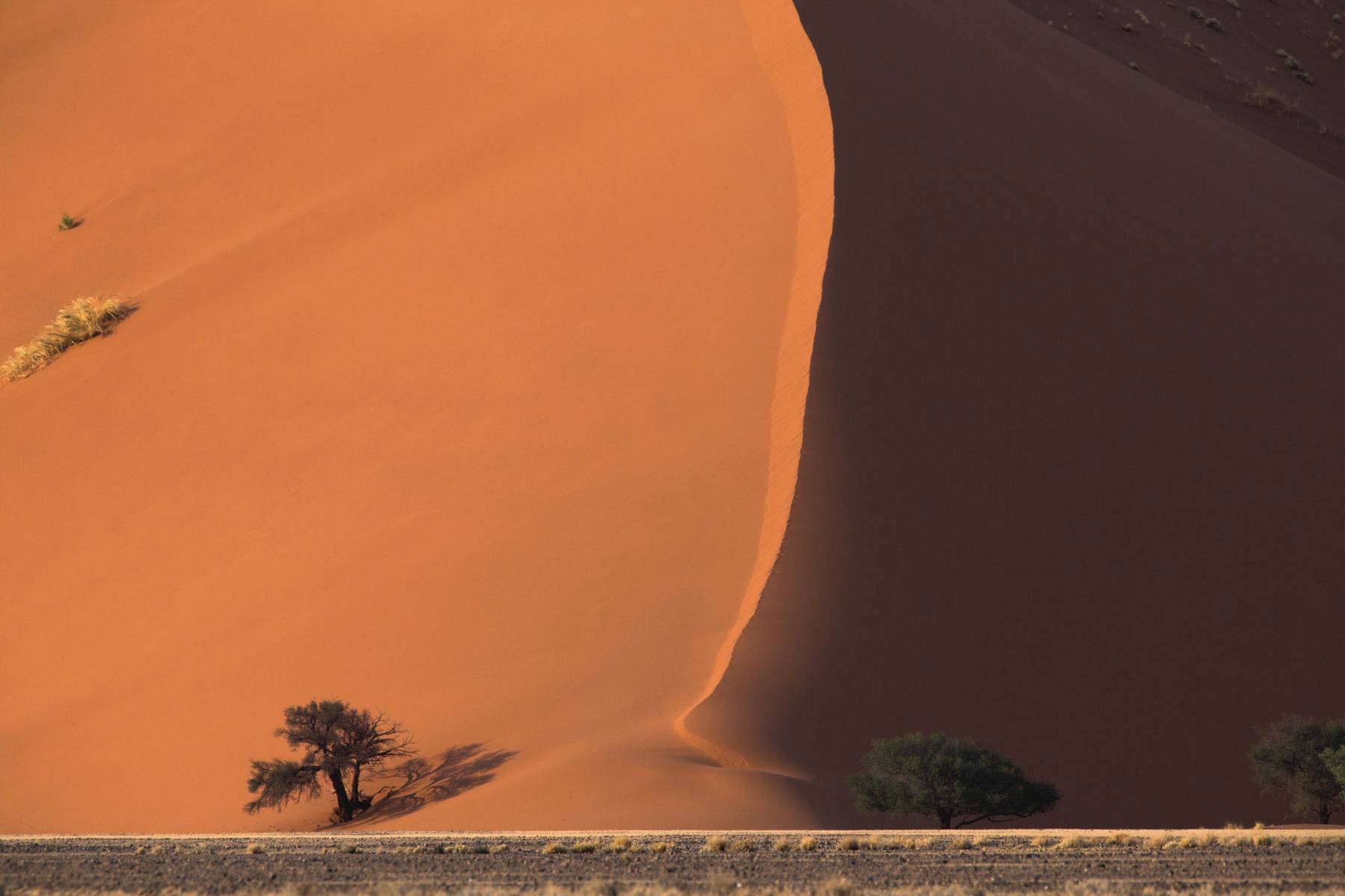 Världens högsta sanddyner finns vid Sossusvlei