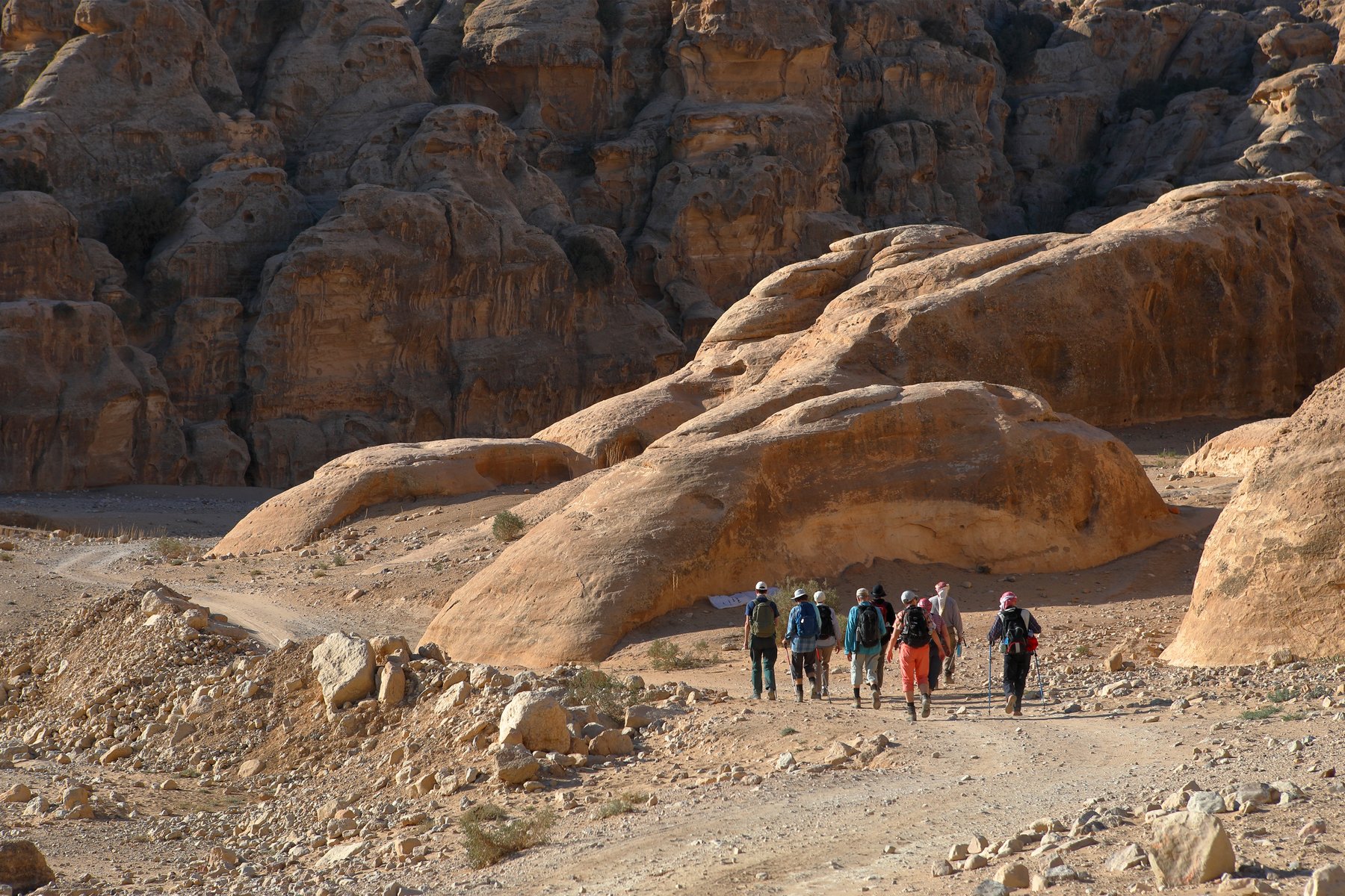 Skogsmo Jordan