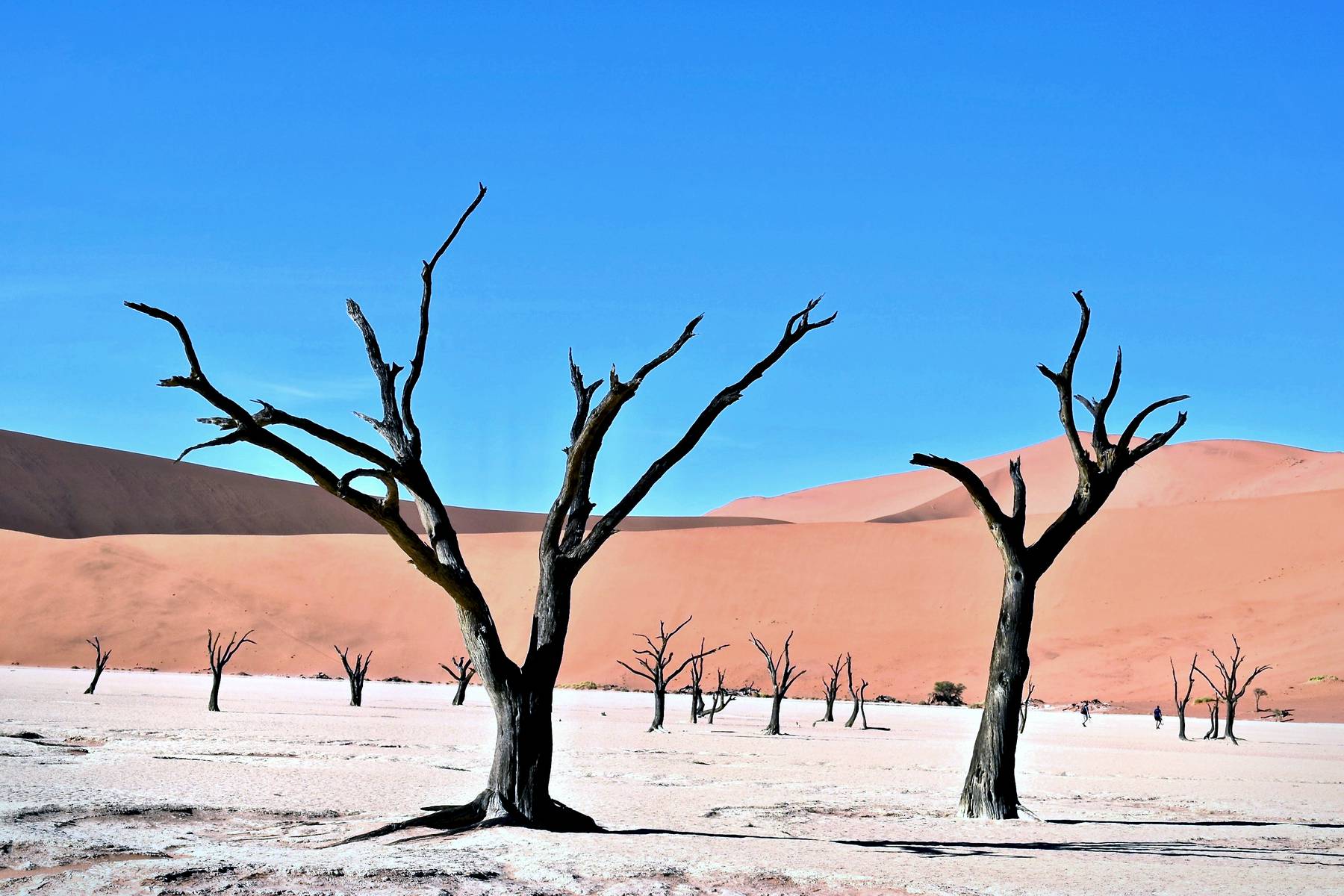 Skönheten vid Sossusvlei