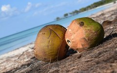 Ta det lugnt på stranden