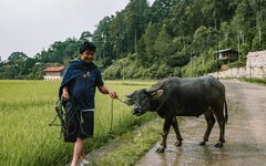 Möten under vandringen i Tana Toraja
