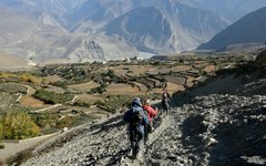 De odlade fälten vid Jomsom