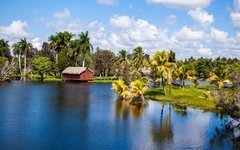 Våtmarkerna Cienaga de Zapata