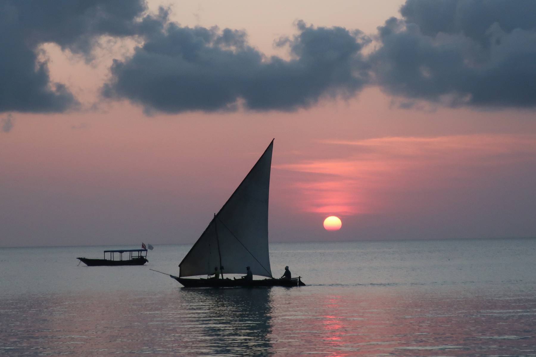Du seglar med Dhow till Zanzibar
