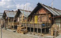 Ziro AdobeStock_438586861_Preview