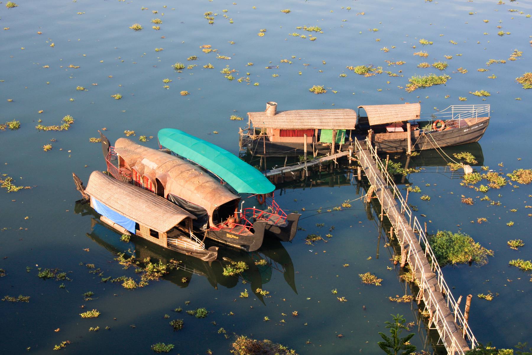 Båtar i Keralas backwaters