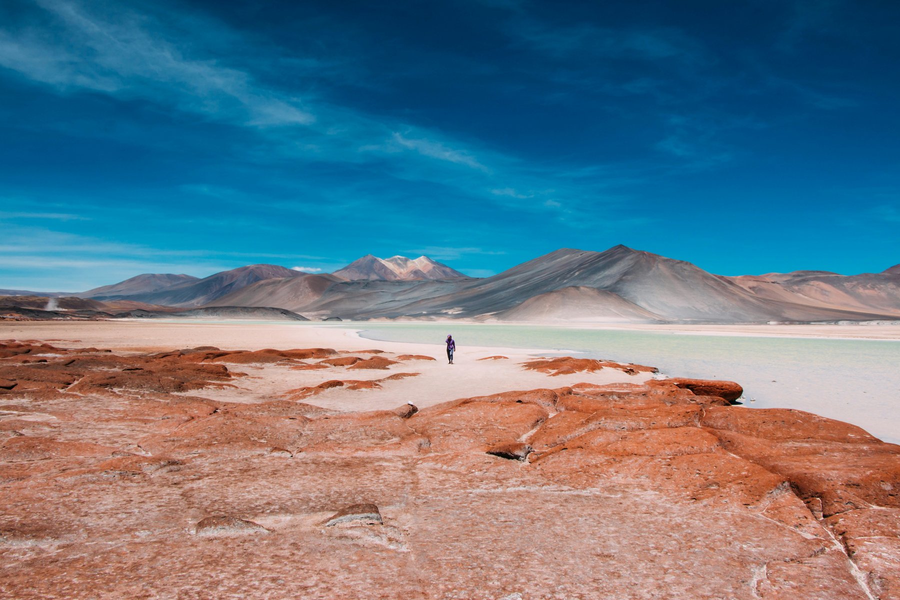 Du besöker den fascinerande saltöknen Salar de Atacama