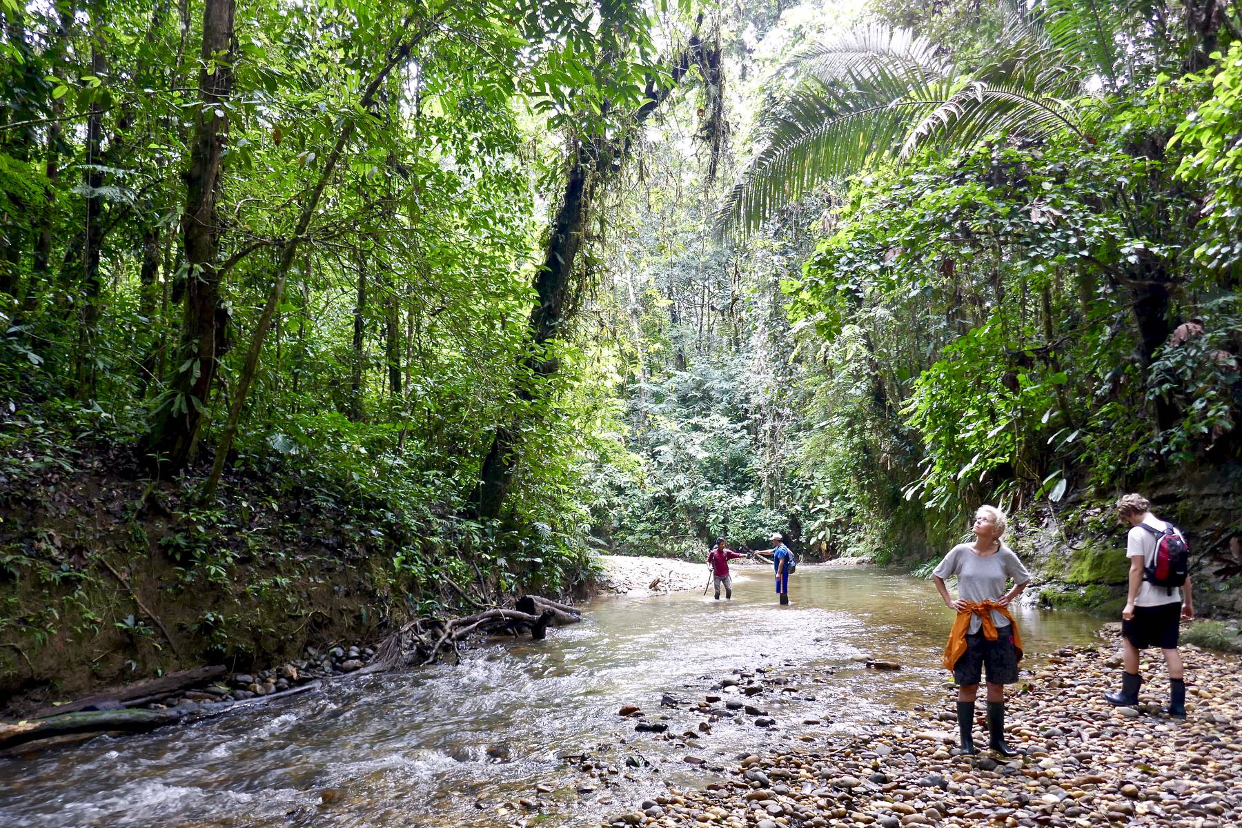 På vandring i Amazonas