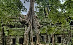 En vacker tempel i Angkor Wat