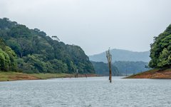 Du spanar efter vilda djur vid Periyar nationalpark