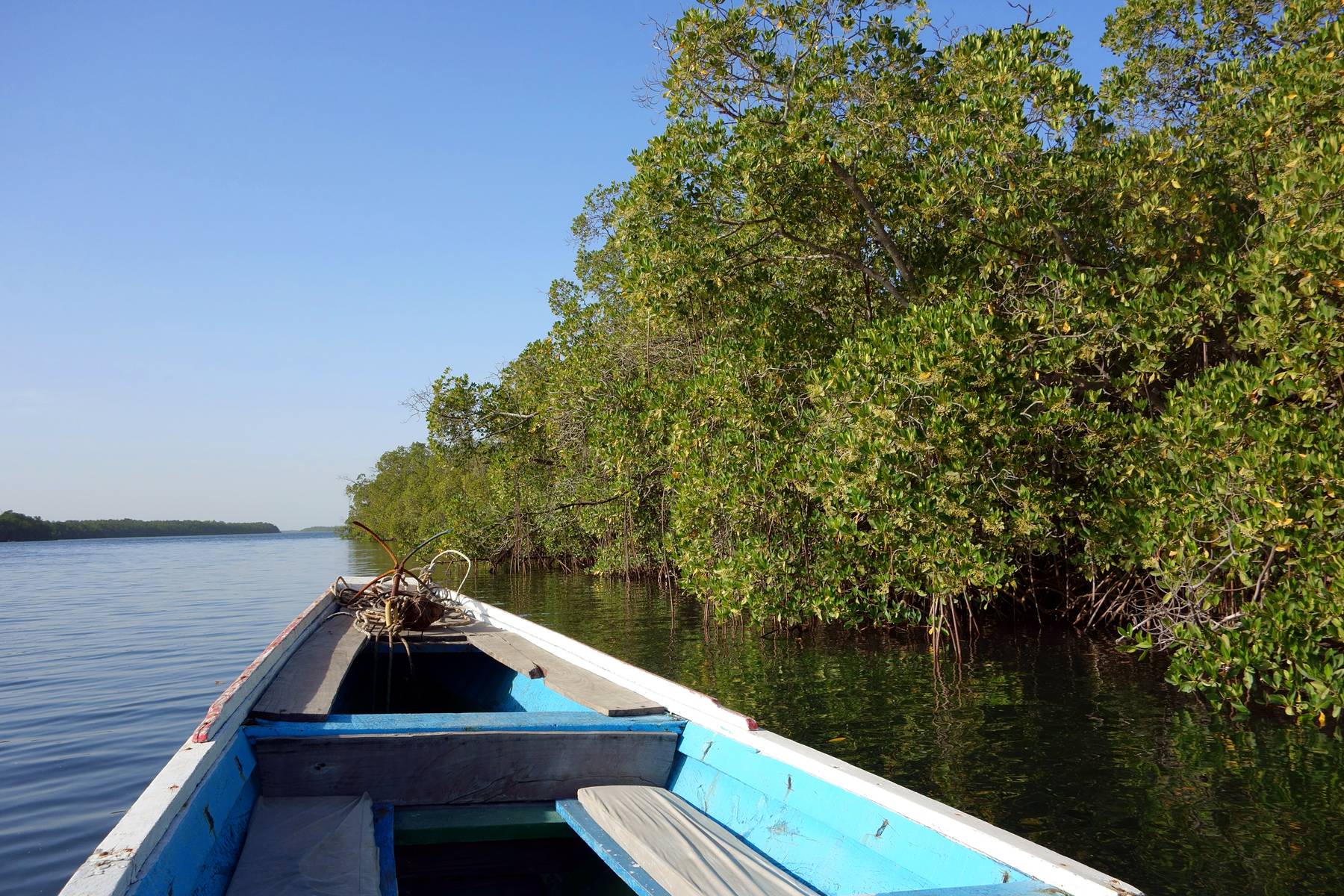 Båtfärd längs med Casamance