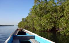 Båtfärd längs med Casamance